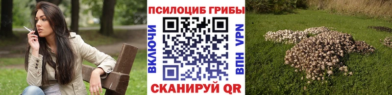 Псилоцибиновые грибы Magic Shrooms Кунгур