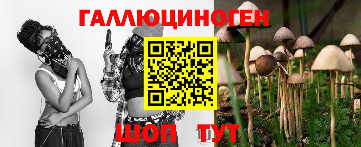 Псилоцибиновые грибы мицелий Кунгур
