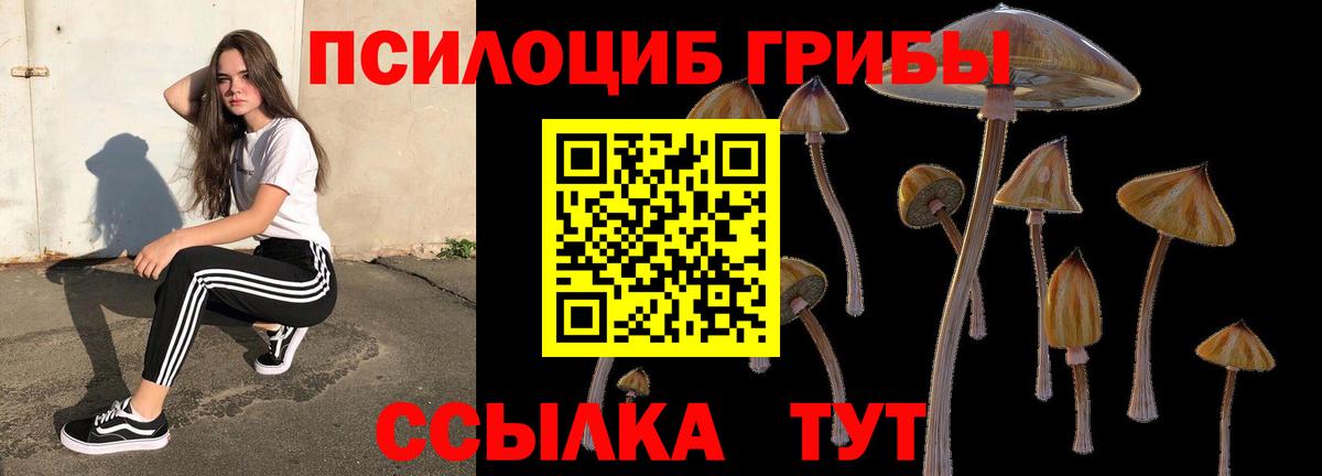 Псилоцибиновые грибы ЛСД  Вход с VPN  Кунгур 